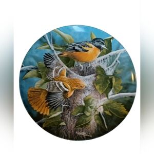 The Baltimore Oriole Collectors Plate